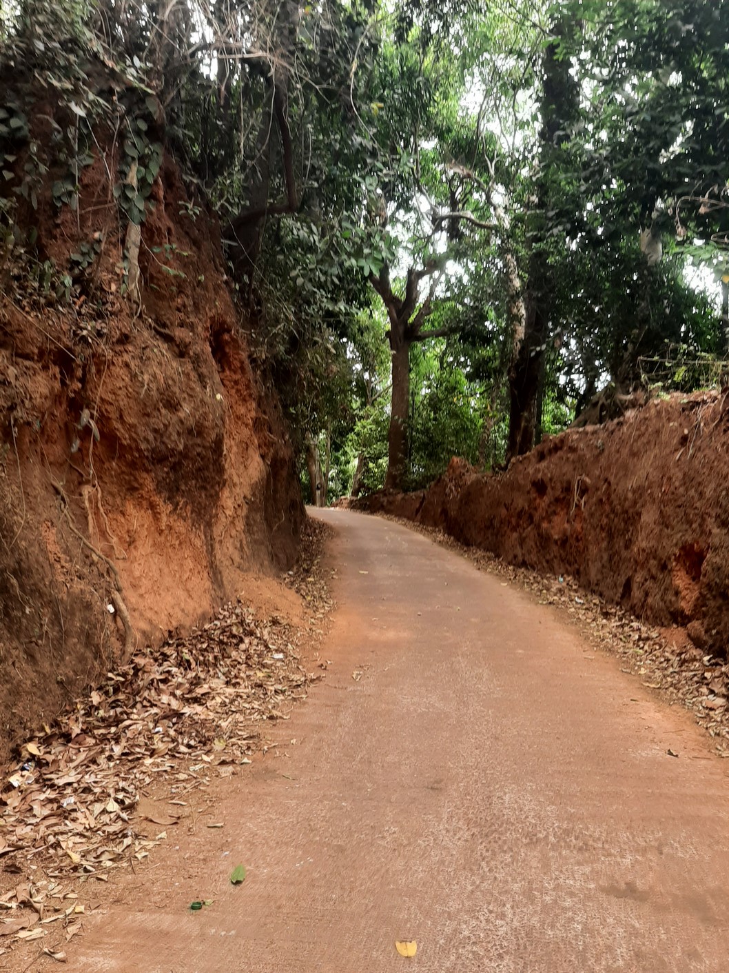 img/21/Gokarna (9).jpg
